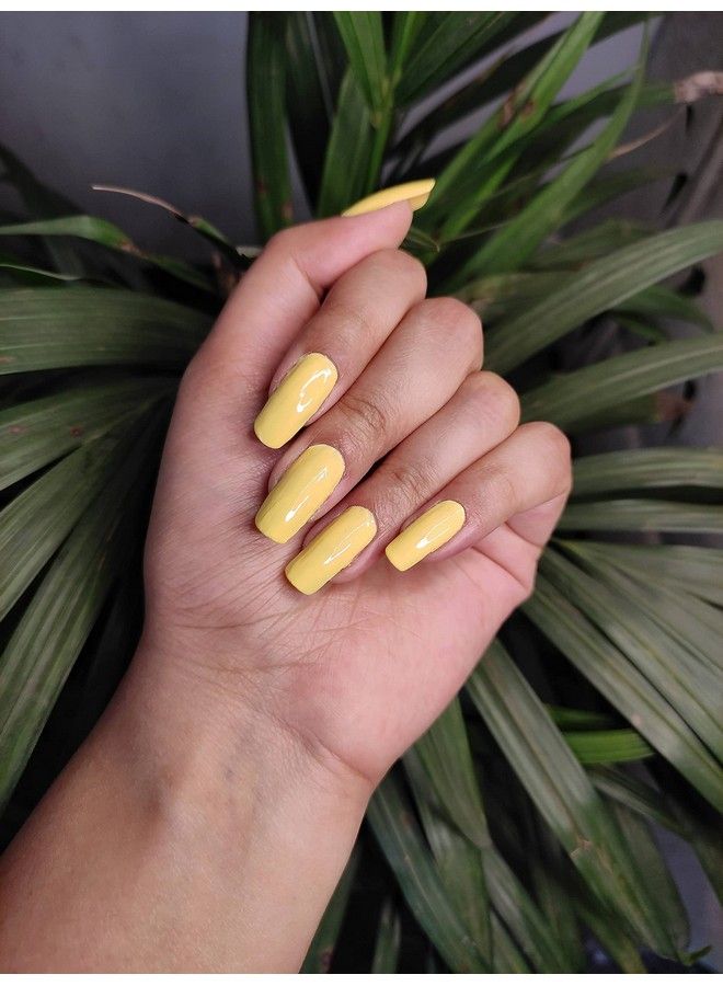 All Bright (Pack Of 12) Long Lasting 7 Ml Each Combo Pack
