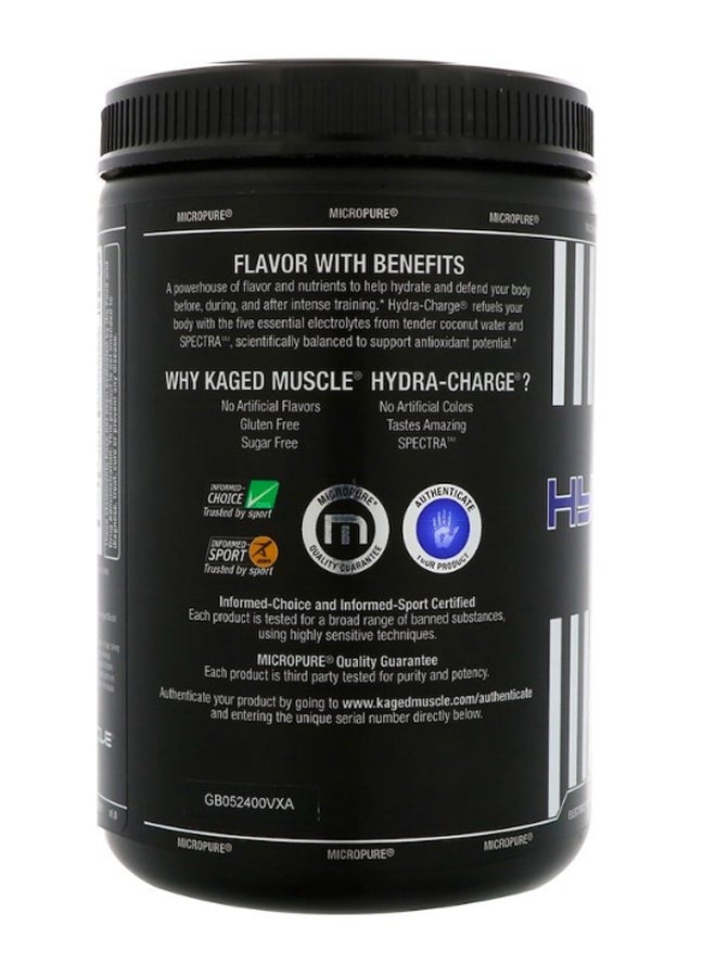 Hydra-Charge Apple Limeade Hydrate And Defend Powder