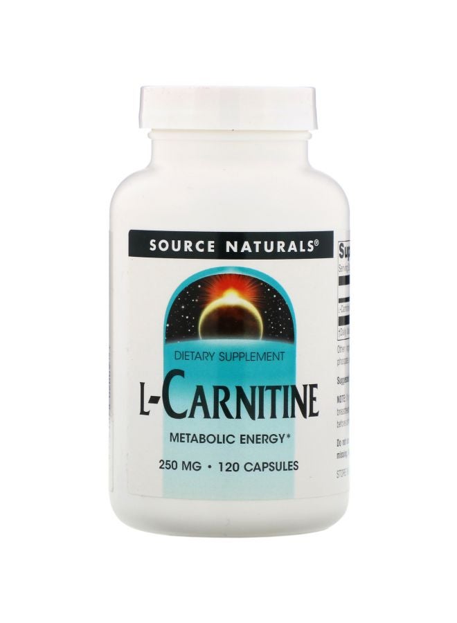 L-Carnitine 250mg Dietary Supplement - 120 Capsules