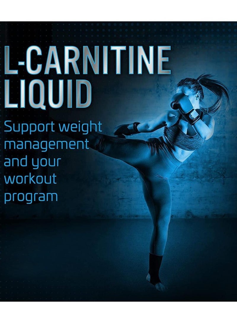 L-Carnitine 3500 Liquid & Green Tea 480ml Blue Razz Rush