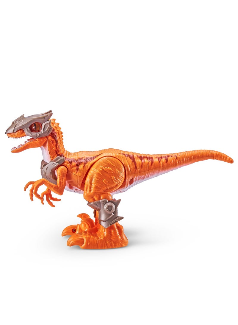 ZURU ROBO ALIVE Dino -SERIES 1 Raptor Toy Dino For Ages 3+