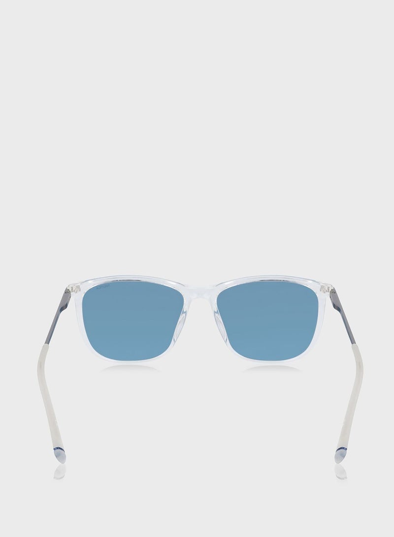 N3660Sp Wayfarers Sunglasses