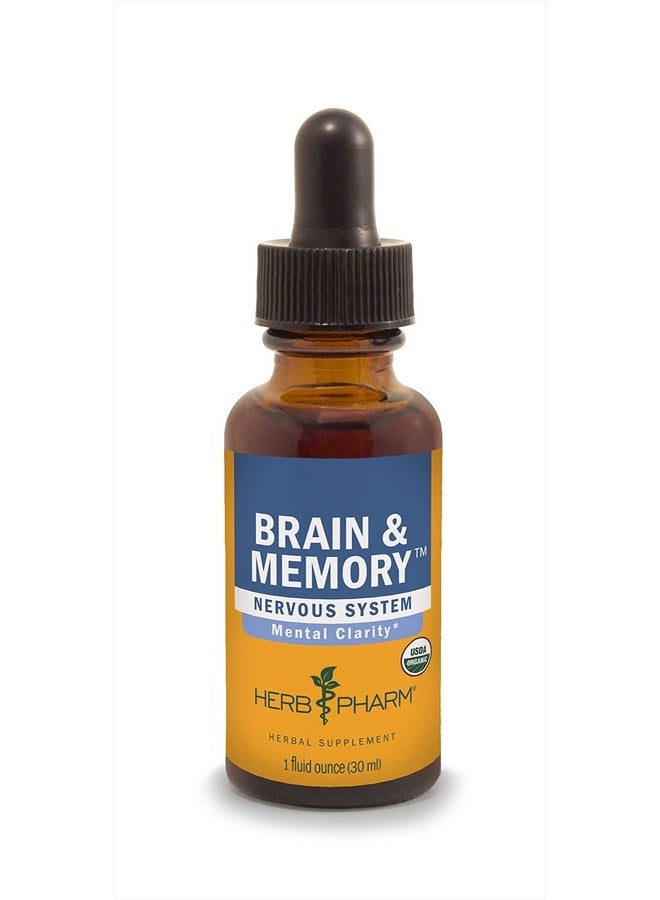 Brain and Memory Liquid Herbal Formula with Ginkgo for Memory and Concentration- 1 Ounce