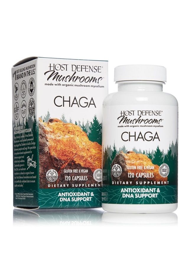 , Chaga Capsules, Antioxidant and DNA Support, Mushroom Supplement, Unflavored, 120