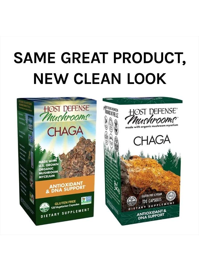 , Chaga Capsules, Antioxidant and DNA Support, Mushroom Supplement, Unflavored, 120