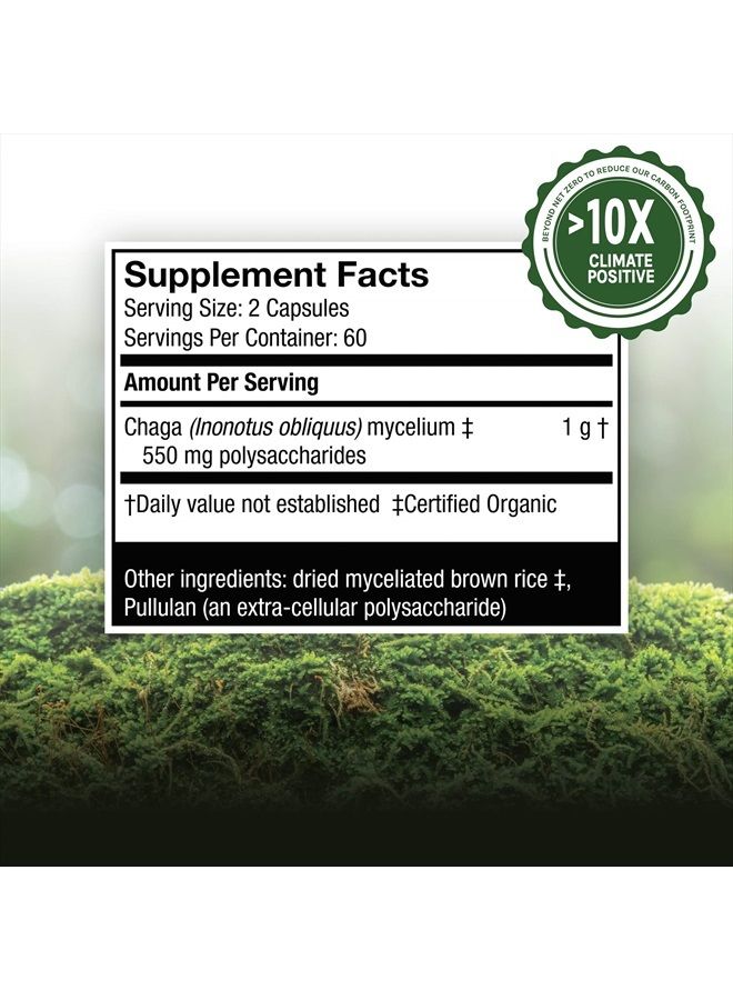 , Chaga Capsules, Antioxidant and DNA Support, Mushroom Supplement, Unflavored, 120