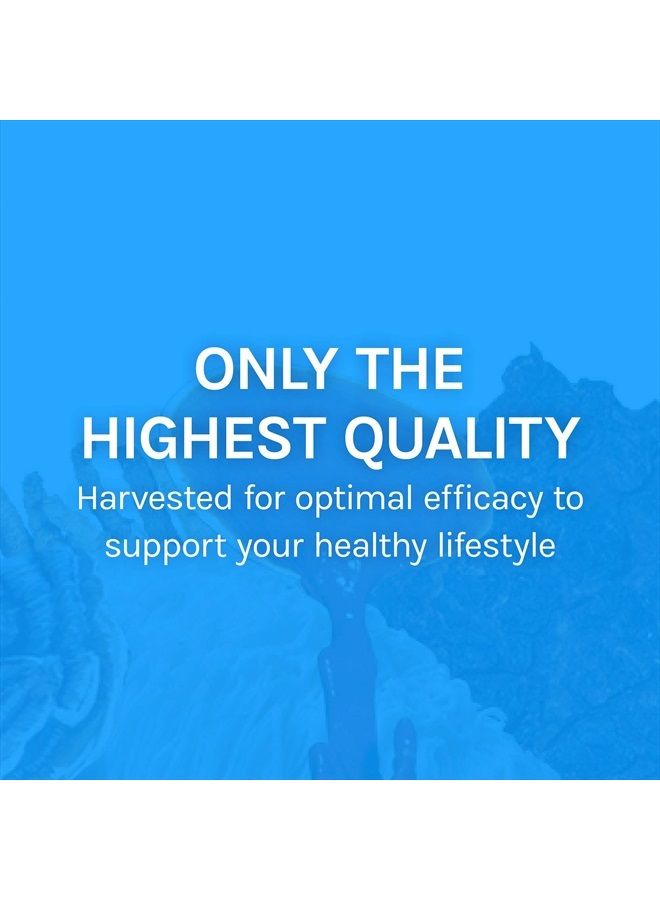 , Breathe Capsules, Respiratory Support, Mushroom Supplement with Cordyceps, Reishi and Chaga, Unflavored, 30