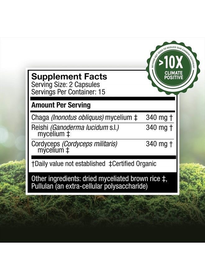 , Breathe Capsules, Respiratory Support, Mushroom Supplement with Cordyceps, Reishi and Chaga, Unflavored, 30