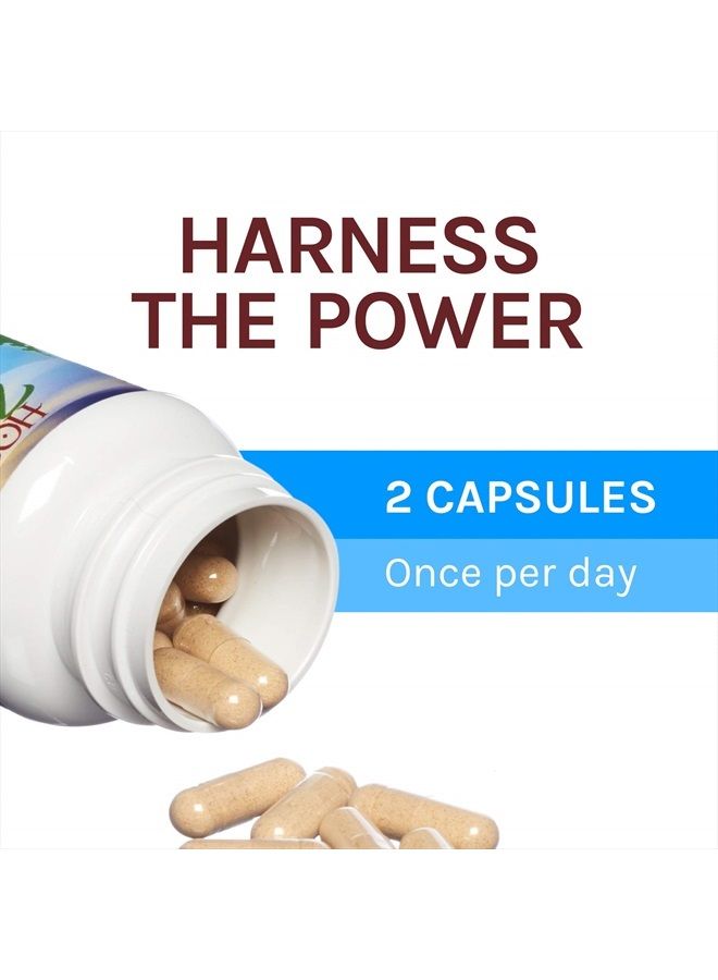 , Breathe Capsules, Respiratory Support, Mushroom Supplement with Cordyceps, Reishi and Chaga, Unflavored, 30