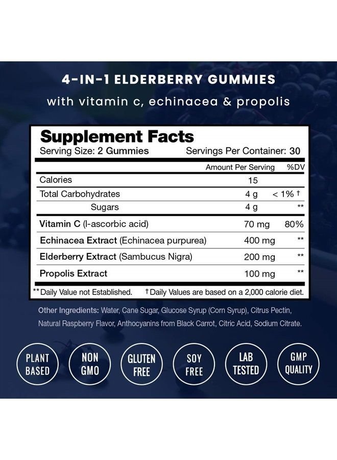 Elderberry Gummies | Sambucus Elderberry Gummies for Adults & Kids | Vitamin C, Propolis & Echinacea | Max Strength Immune Support Gummies | Natural Berry Flavor | 120 Gummies (2 Pack)