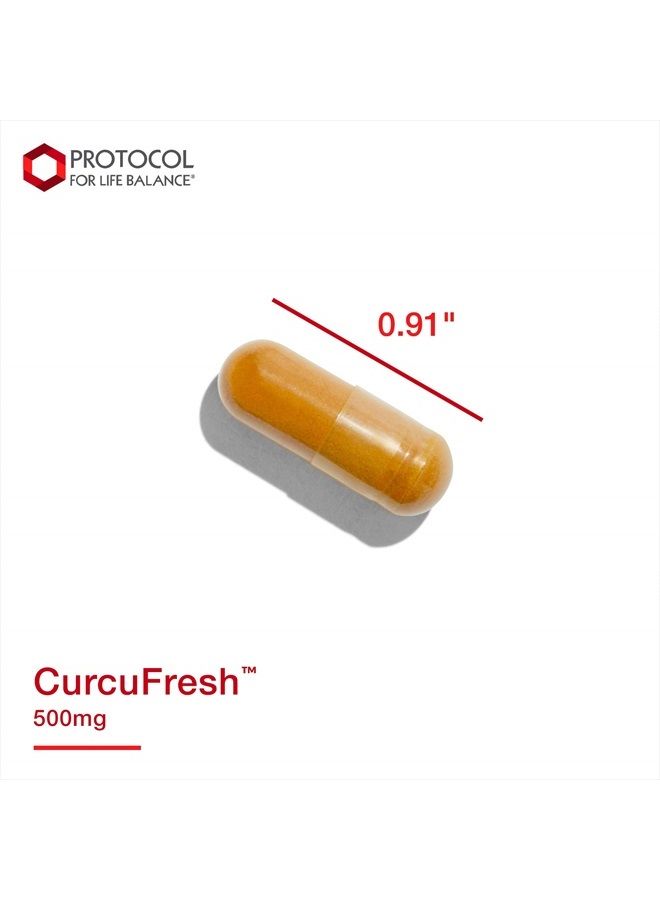 Protocol CurcuFRESH - Turmeric Curcumin 500mg - Standardized Turmeric Root Juice - 60 Veg Caps