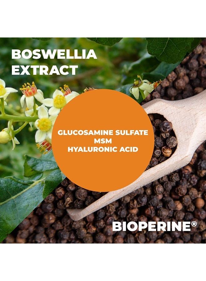 Glucosamine Sulfate with Hyaluronic Acid, Bioperine, MSM & Boswellia - Occasional Joint Discomfort Relief Supplement. Anti-Oxidant Pills for Back, Knees and Hands