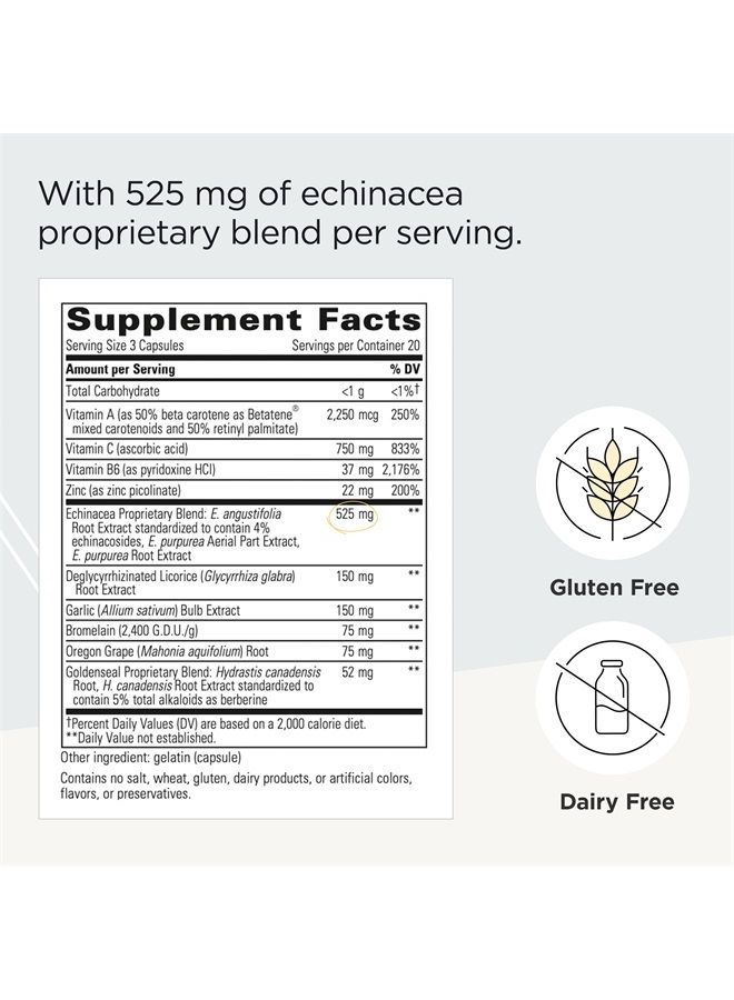EHB (Echinacosides, Hydrastine, Berberine) - Immune Supporting Nutrients* - 60 Capsules