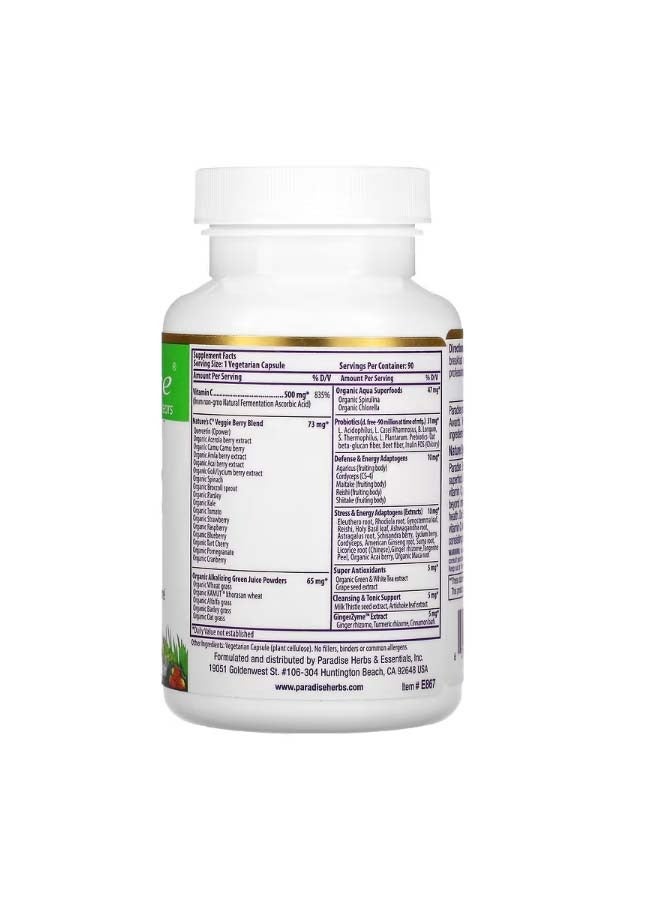 Earth's Blend Vitamin C 500 mg 90 Vegetarian Capsules