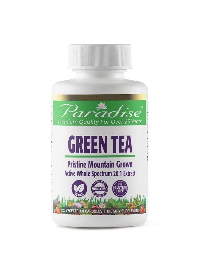 Paradise Green Tea Extract, 100% Naturally Extracted, Non GMO, Gluten Free, 120 Vegetarian Capsules