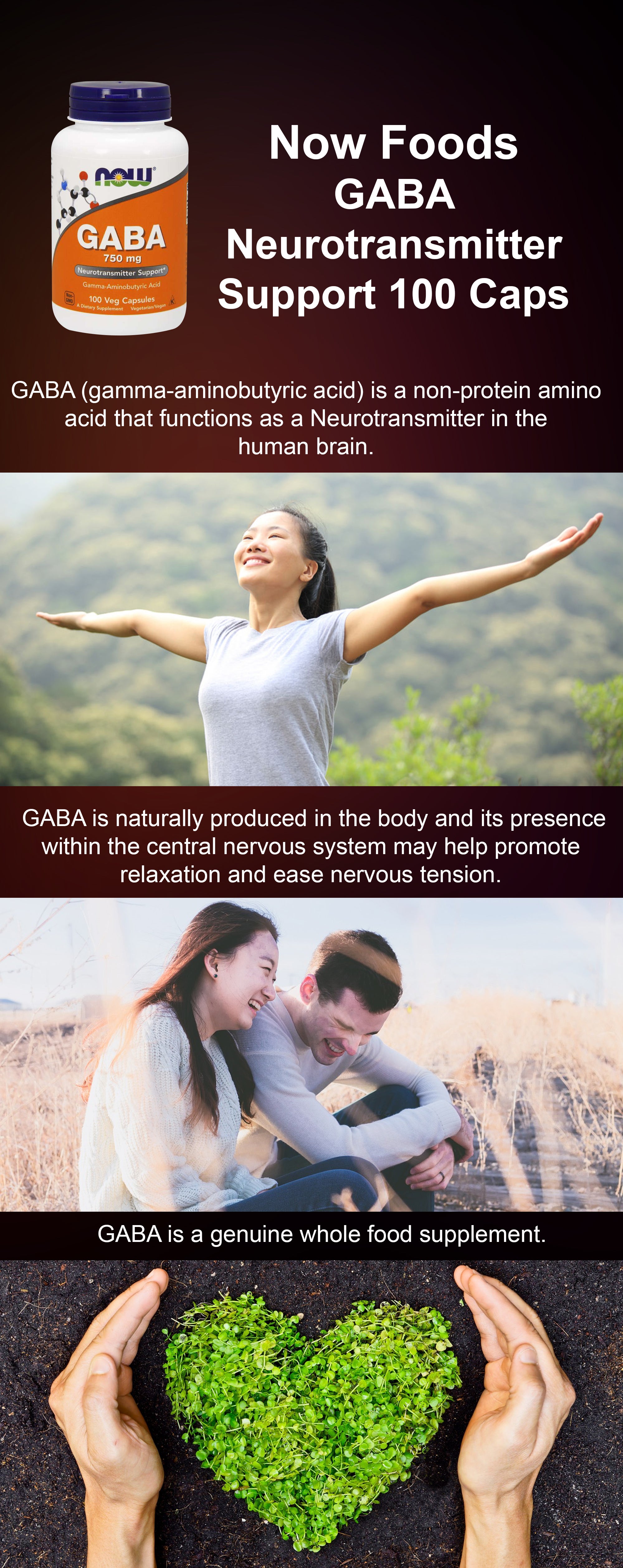 GABA Neurotransmitter Support 100 Caps