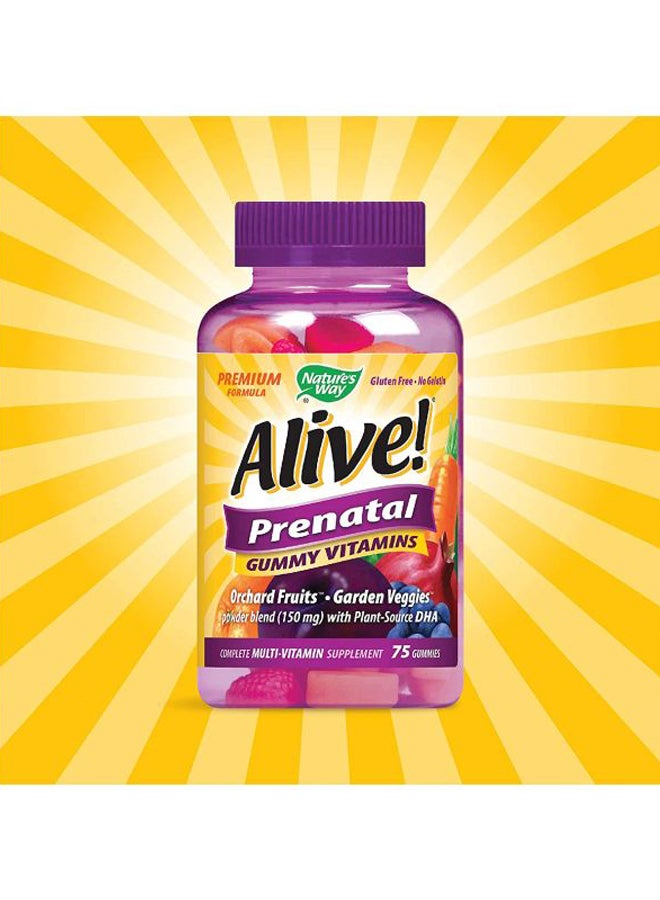 Alive! Prenatal Multi-Vitamin With Plant DHA Dietary Supplement - 75 Gummies