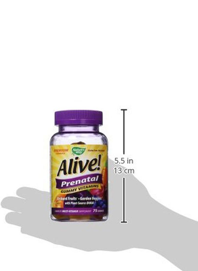 Alive! Prenatal Multi-Vitamin With Plant DHA Dietary Supplement - 75 Gummies