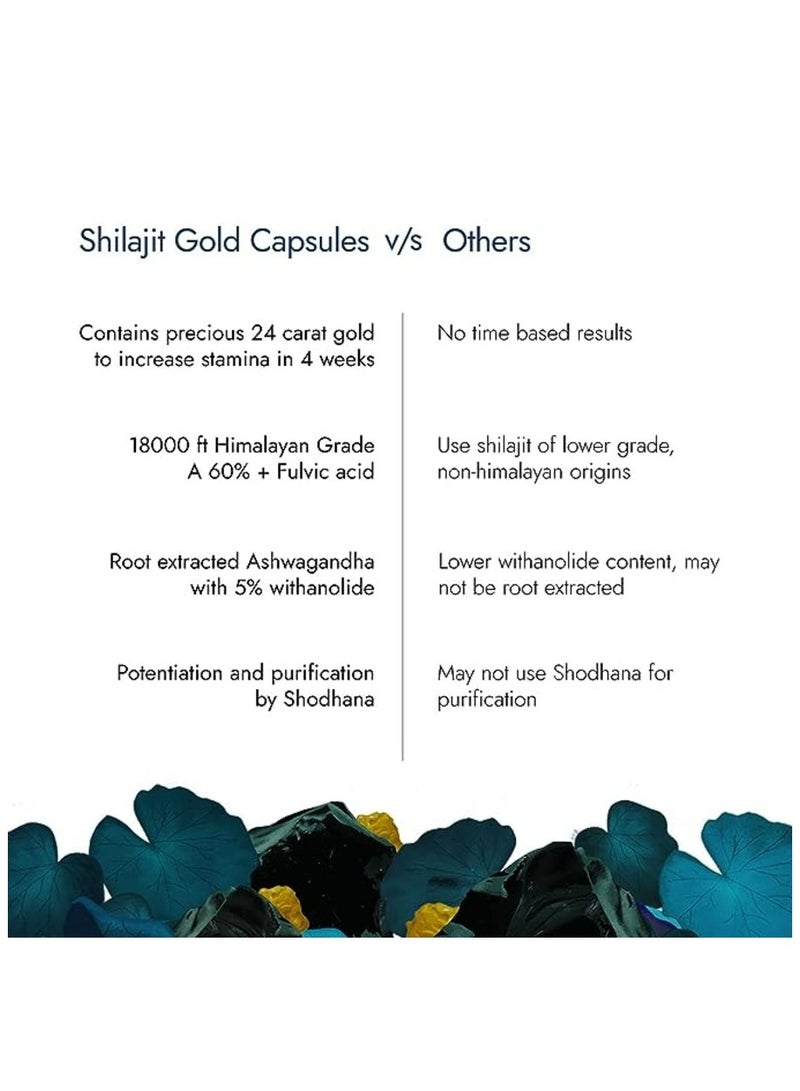 Shilajit Gold 60 Capsules, Pack Of 2