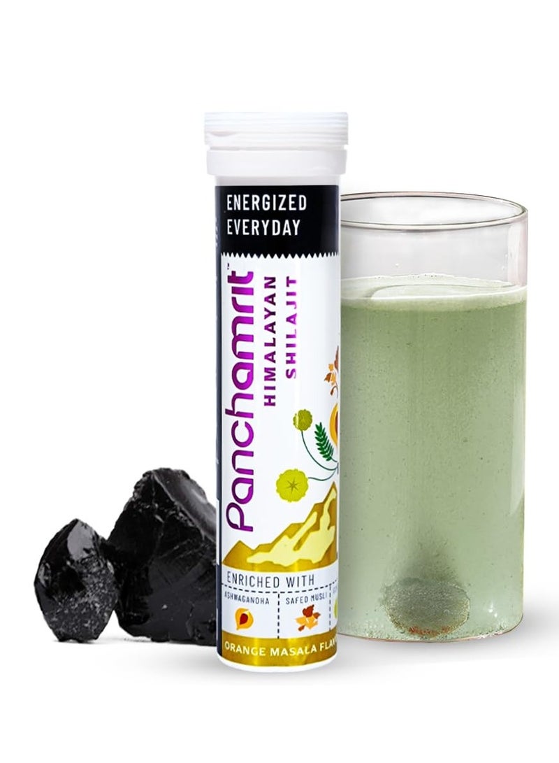 Panchamrit Himalayan Shilajit and Triphala Combo