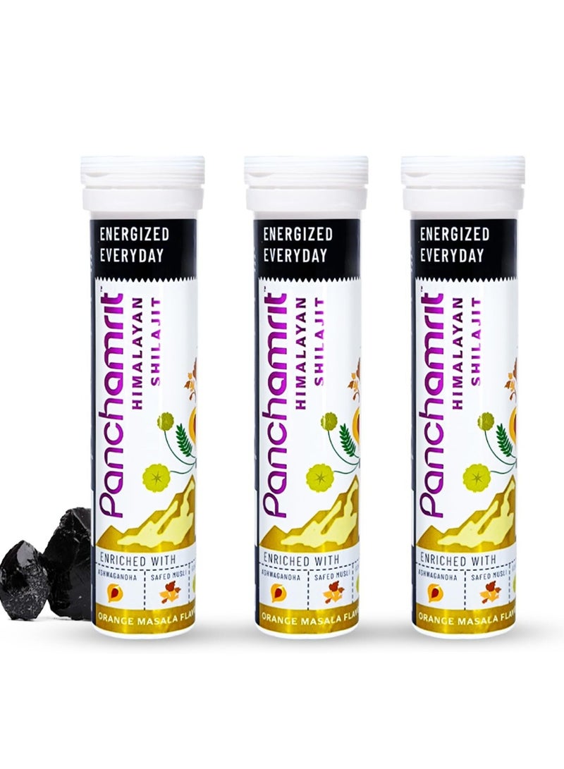Panchamrit Himalayan Shilajit Effervescent - pack of 3