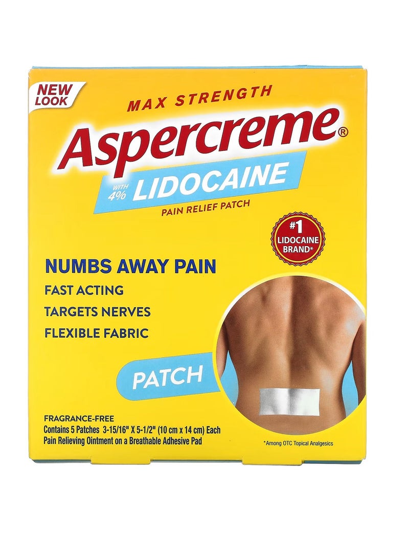 Aspercreme Odor Free Max Strength Pain Relief Patch for Back Pain 5 count