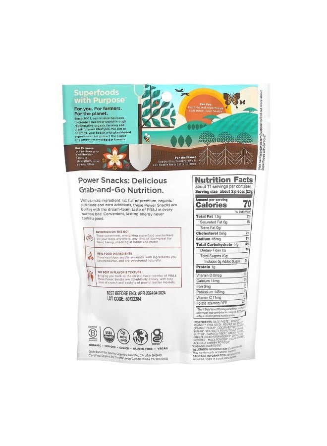 Organic Power Snacks Superfood PBandJ 8 oz 227 g