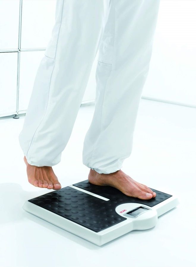 813 - High Capacity Digital Flat Scale for Individual Patient use