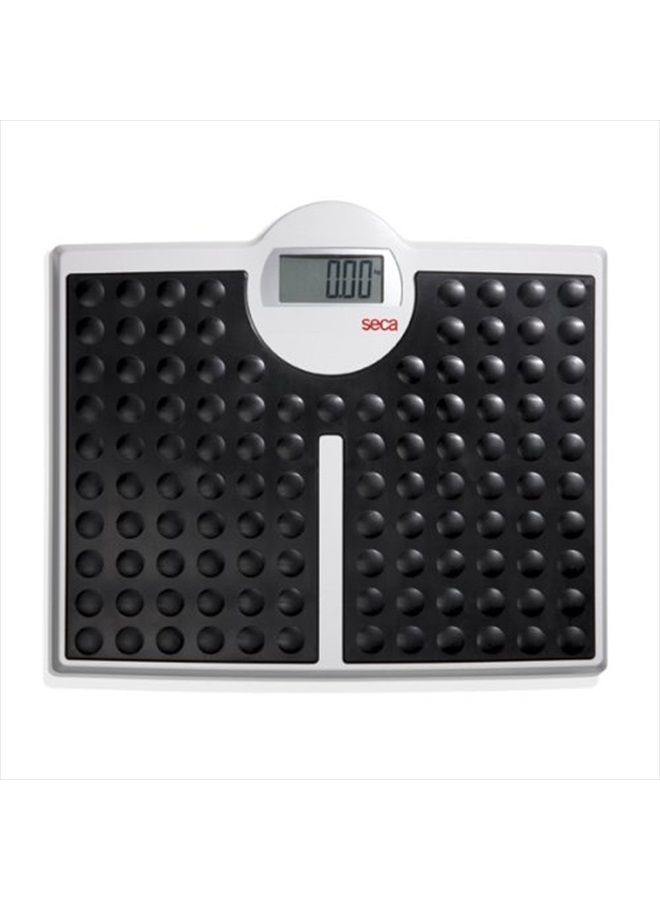 813 - High Capacity Digital Flat Scale for Individual Patient use