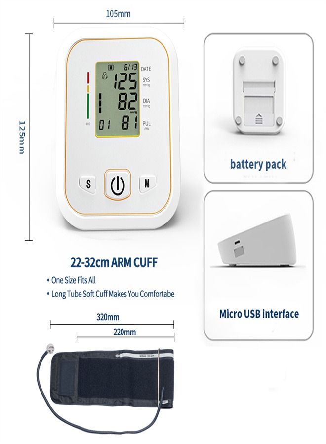 Electronic Blood Pressure Monitor