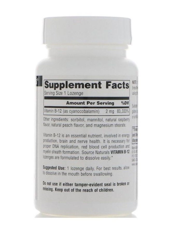 B-12 Vitamin Supplement - 100 Lozenges