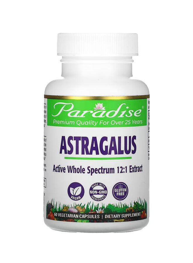 Astragalus 12:1 Concentrated Potency - 60 Capsules