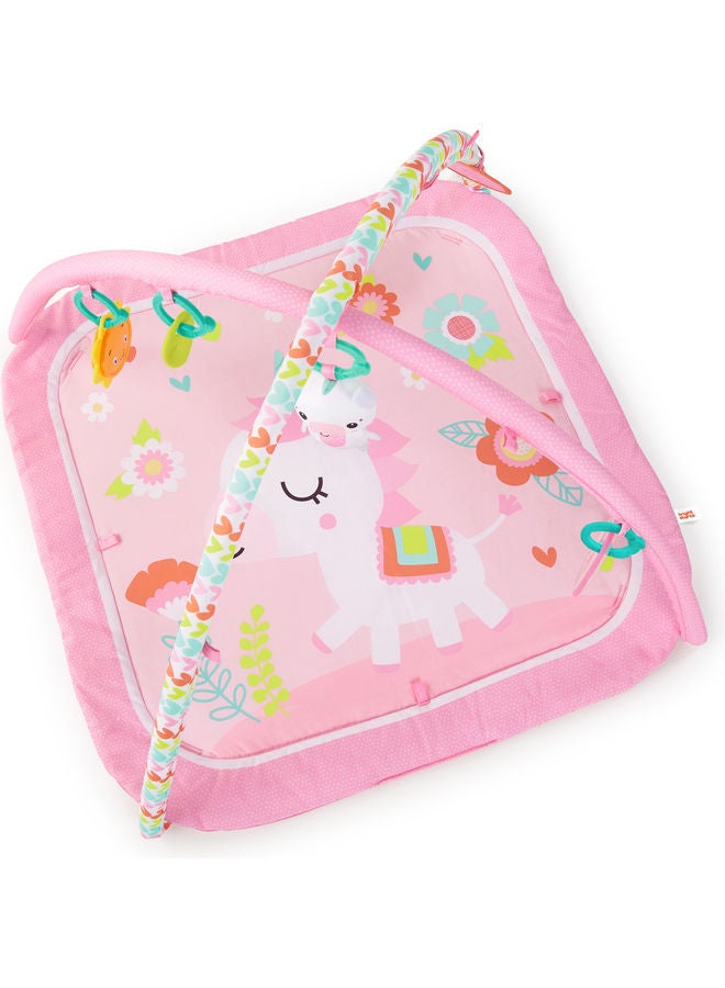 Daydream Blooms Activity Gym 58.42x6.35x43.18cm