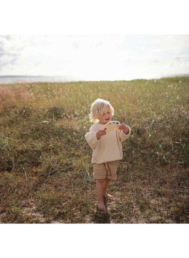 Paint Palette Press Toy