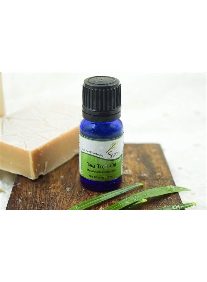 Tea Tree Essential Oil Therapeutic Grade Aromatherapy Oils Fragrance Oil for Diffuser Yoga Massage & DIY Personal Care 10 ml