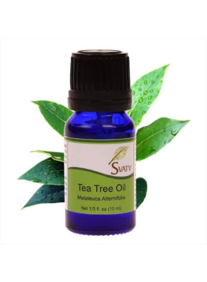 Tea Tree Essential Oil Therapeutic Grade Aromatherapy Oils Fragrance Oil for Diffuser Yoga Massage & DIY Personal Care 10 ml