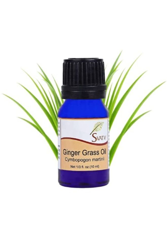 Ginger Grass Essential Oil Therapeutic Grade Aromatherapy Oils Fragrance Oil for Diffuser Yoga Massage & DIY Personal Care 10 ml