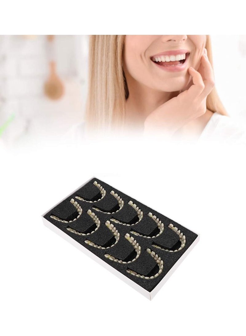Resin Denture False Teeth Teaching Dental Model Dental Material Dental Model Resin Denture For Patients With Oral Cavity Loss Dental Supply Accessory Denture Model 1 Set Upper Lower Teeth