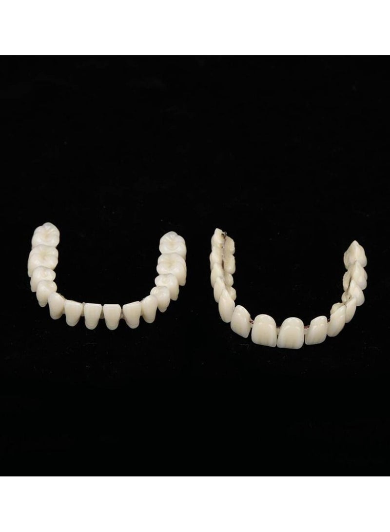 Resin Denture False Teeth Teaching Dental Model Dental Material Dental Model Resin Denture For Patients With Oral Cavity Loss Dental Supply Accessory Denture Model 1 Set Upper Lower Teeth