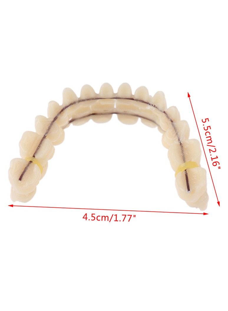 Resin Denture False Teeth Teaching Dental Model Dental Material Dental Model Resin Denture For Patients With Oral Cavity Loss Dental Supply Accessory Denture Model 1 Set Upper Lower Teeth