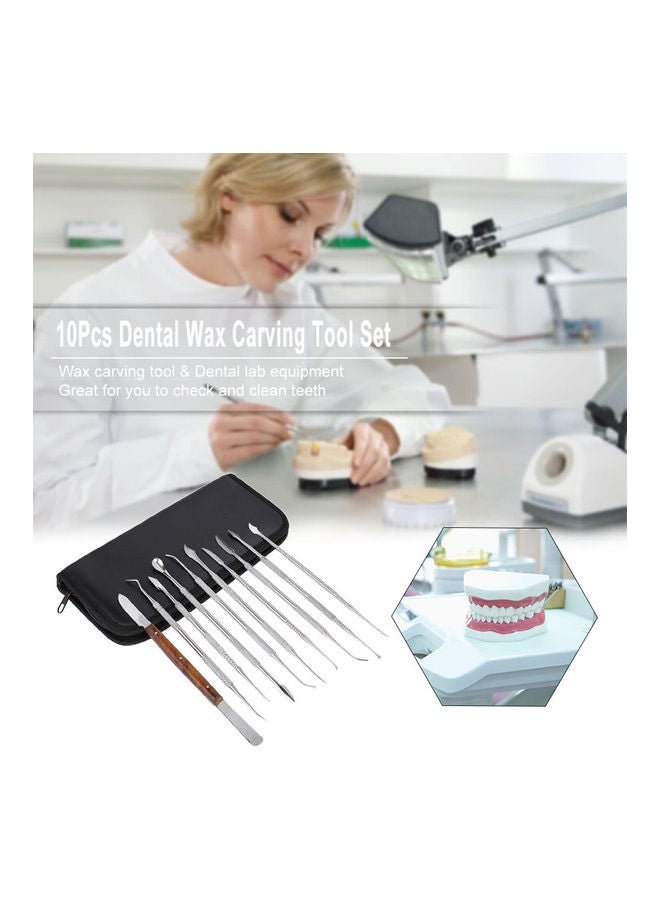 10-Piece Stainless Steel Dental Wax Carving Tool Set