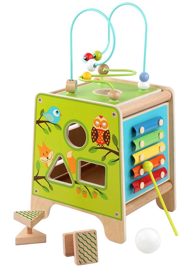 5 In 1 Wooden Activity Cube For Kids Educational Baby Toy With Bead Maze Shape Color Sorter Xylophone For Toddlers Montessori Learning Preschool Activity Cube Toys For Boys Girls 1+Years