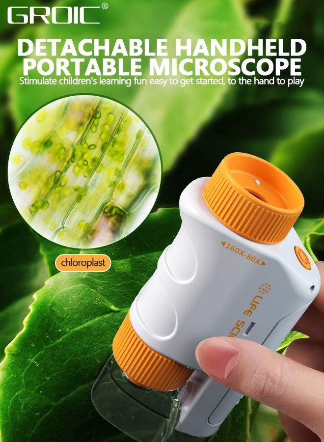 Pocket Microscope for Kids Science Microscope Kits Little World Science Kits Beginner Handheld Microscope Kit with LED 80-160x Magnification Kids Educational Toy Preschool Science Toy