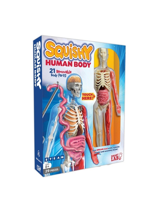 Qpg Lab For Kids Squishy Human Body Grade 38