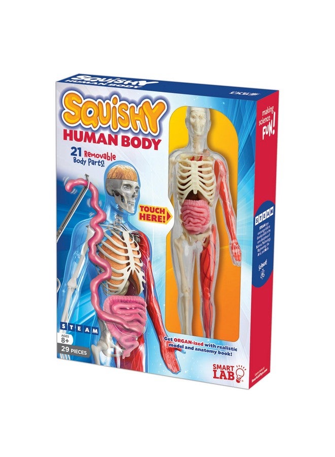 Qpg Lab For Kids Squishy Human Body Grade 38