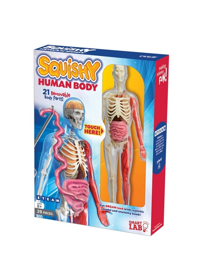 Qpg Lab For Kids Squishy Human Body Grade 38