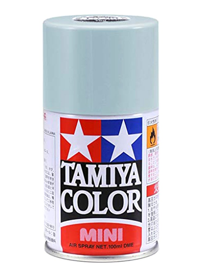 Spray Lacquer Ts-81 Royal 0.1Liters