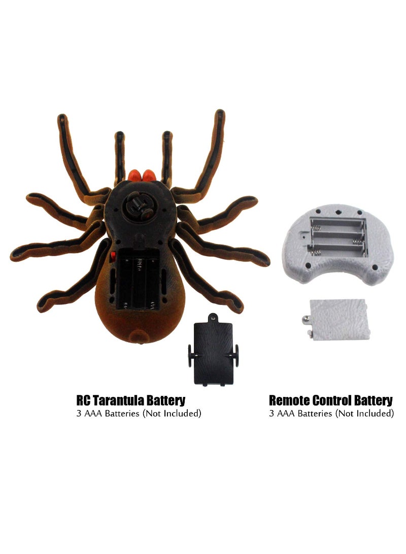 Spider Remote Control Animal Large Size Realistic Tarantula Toys Vehicle Car Electric Kids Brown