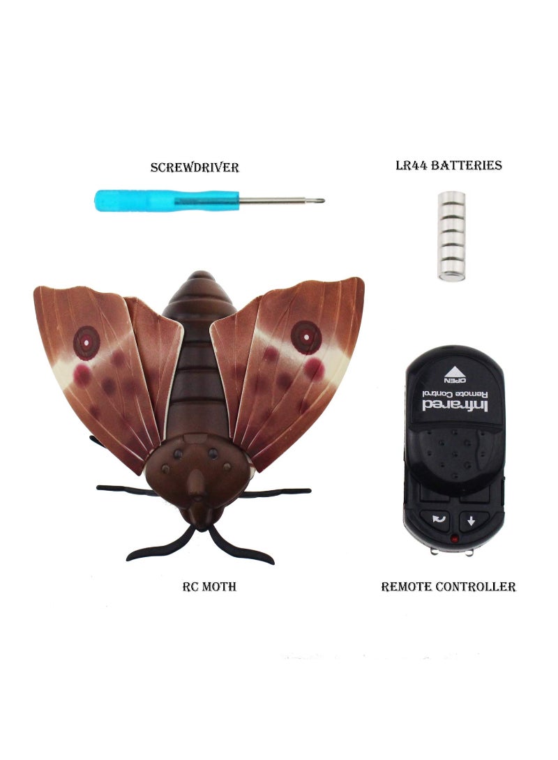 Moth Animal Remote Controlled Car Vehicle Toy Electric Insect Kids Toy Gift