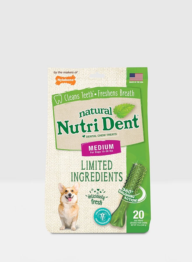 20-Piece Nutri Dent Fresh Breath Dental Chew Treats Green M